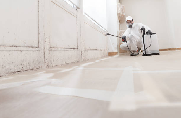 24/7 Emergency Attic Mold Remediation experts in Greenville, TX